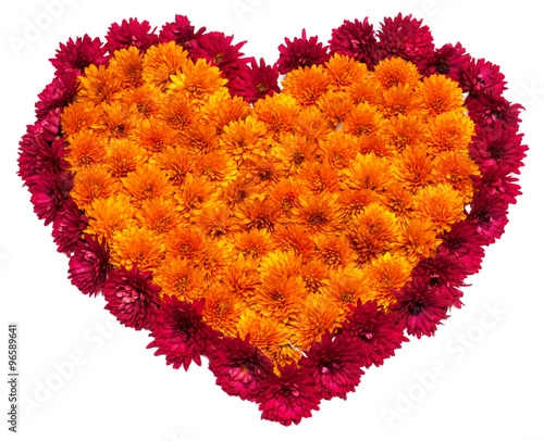 Heart of chrysanthemum