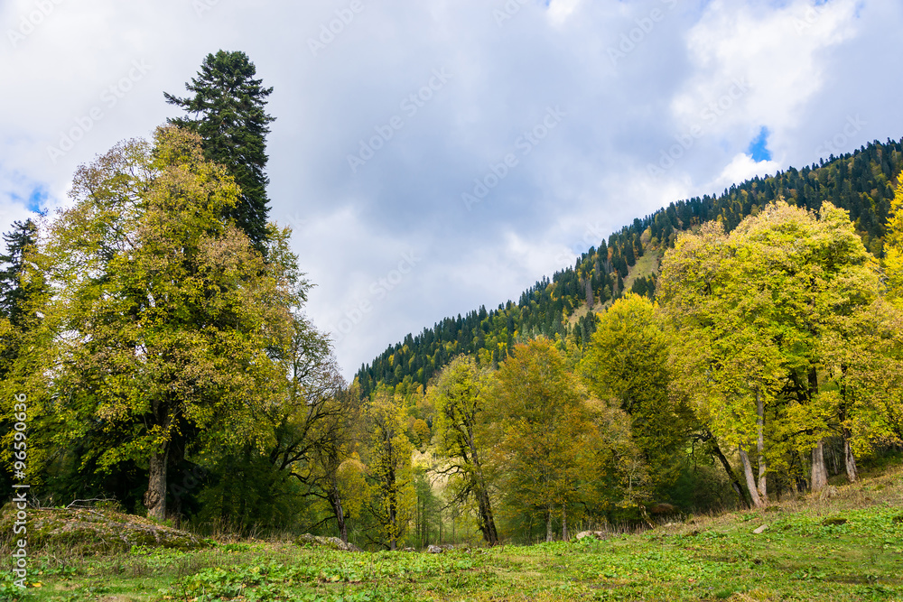 Autumn landscape in the mountains of Abkhazia.