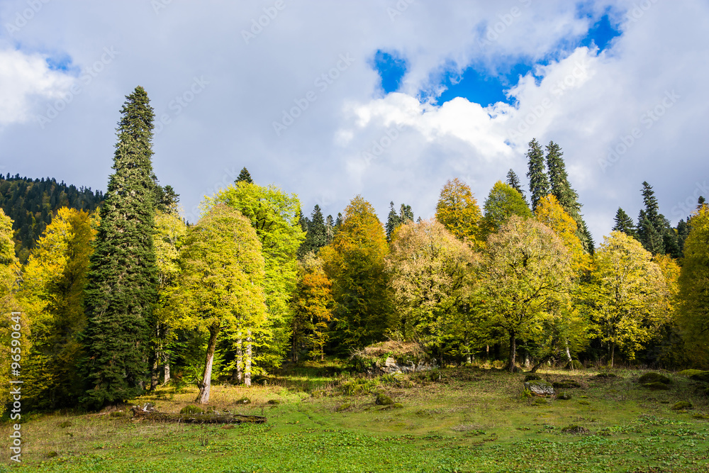 Autumn landscape in the mountains of Abkhazia.