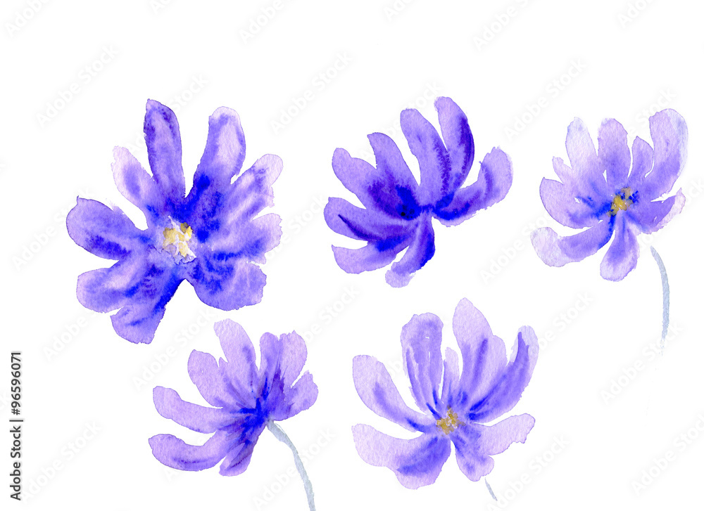 Watercolor flower shapes Watercolor flower shapes