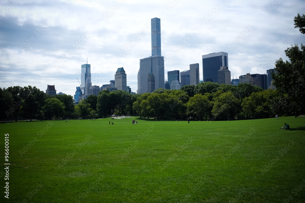 Fototapeta premium Central park of New York
