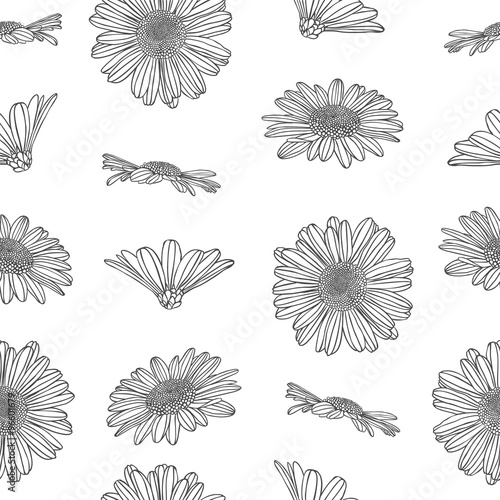 Fototapeta Naklejka Na Ścianę i Meble -  Linear seamless pattern - chamomile flowers