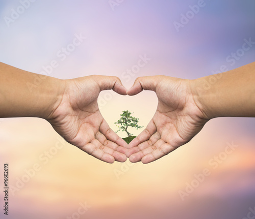 Human hand holding medium green plant with soil on blurred abstr