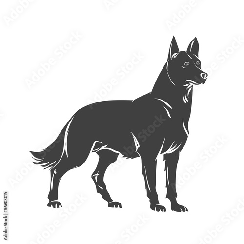 Vector image of an dog © alesikka