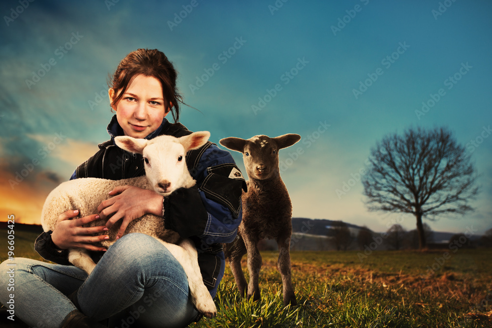 Girl With Lamb - obrazy, fototapety, plakaty 
