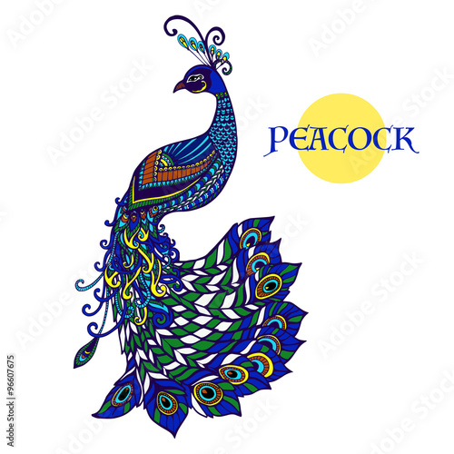 Decorative peacock design doodle color print