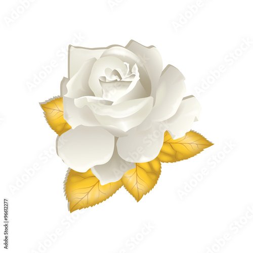 rosa foglie oro