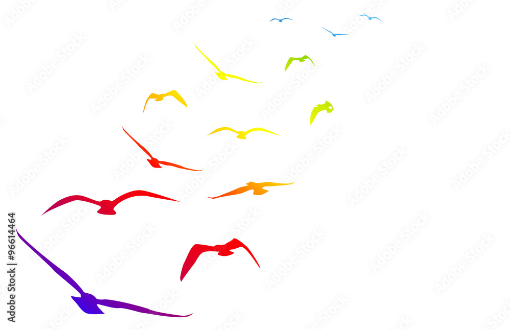 Obraz premium gabbiani, volare, volo, arcobaleno, pace