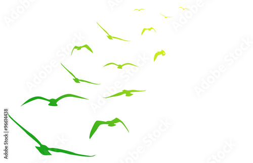 gabbiani, volare, volo, arcobaleno, pace
