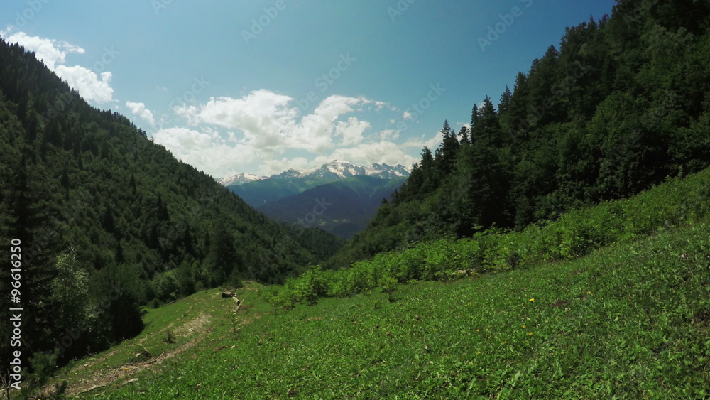 Path in alpine meadows Path in alpine meadows