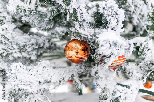 Snow-covered branch of a Christmas tree and red ball