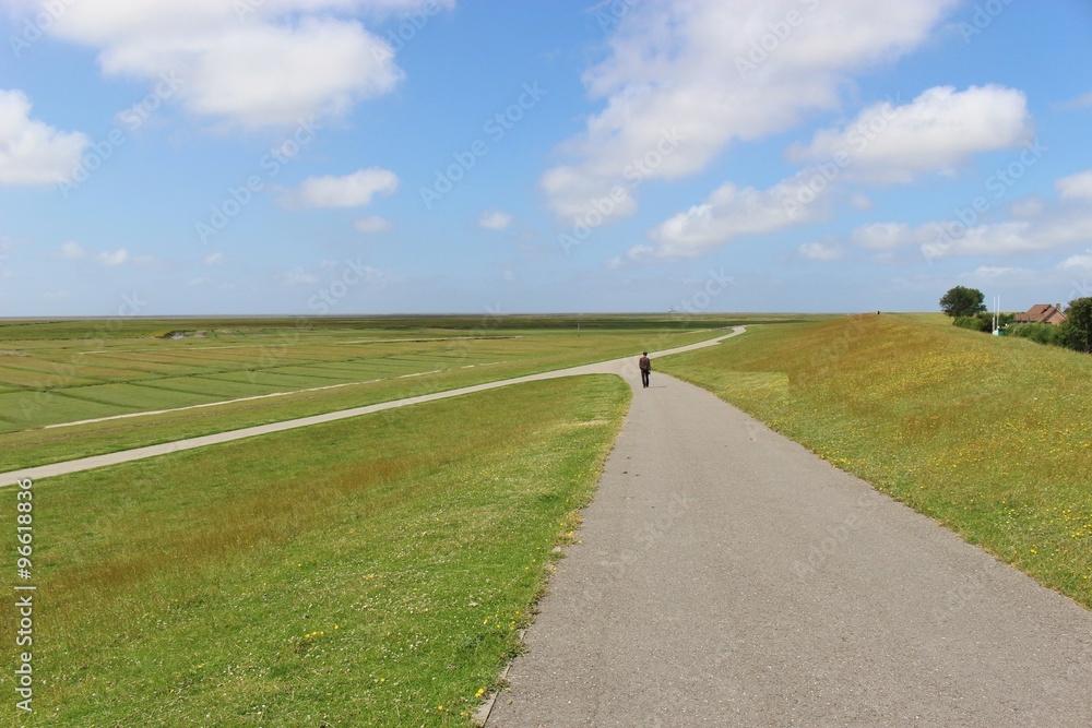 Wide, open landscape in the Schleswig-Holstein National Park Wattenmeer, Northern Germany.