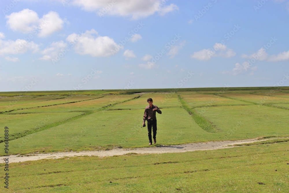 Wide, open landscape in the Schleswig-Holstein National Park Wattenmeer, Northern Germany. Mud-flats near the dike of Friedrichskoog. 