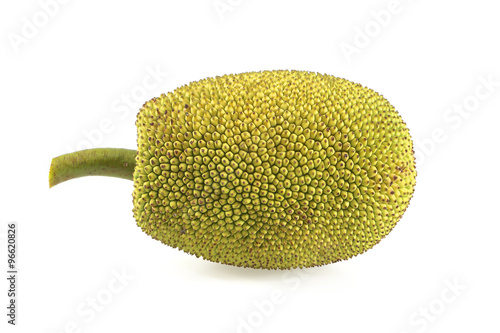 Young jackfruit isolated.