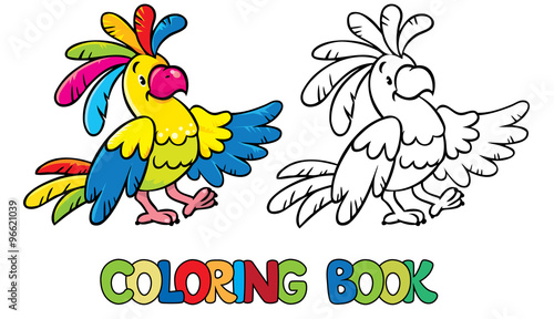 Funny parrot coloring book