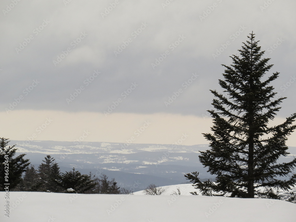 Fototapeta premium Neige en foret, Croix de Bauzon, Ardèche