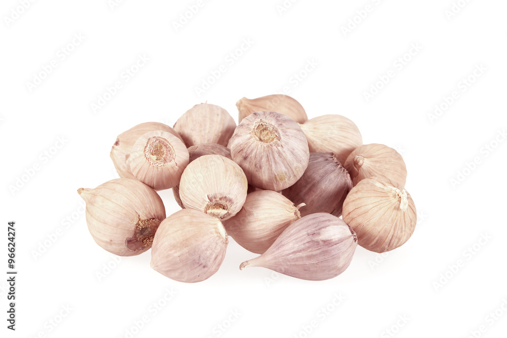 garlic isolated on white background garlic isolated on white background