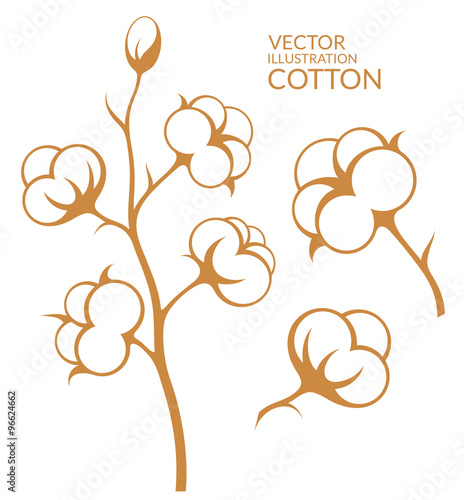 Cotton