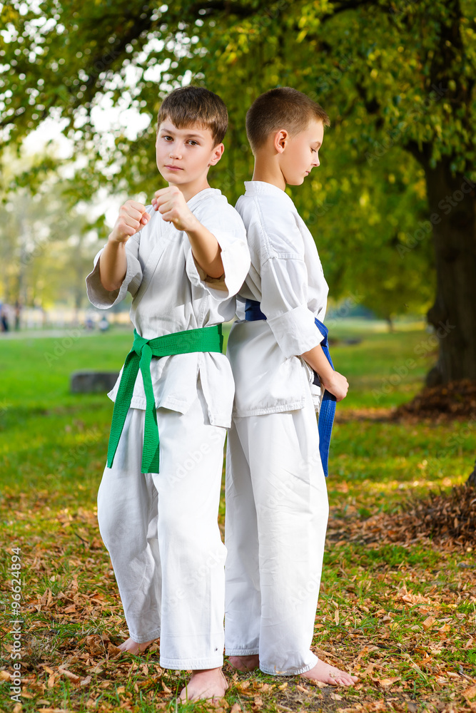 boys in white kimono during training karate exercises at summer outdoors boys in white kimono during training karate exercises at summer outdoors