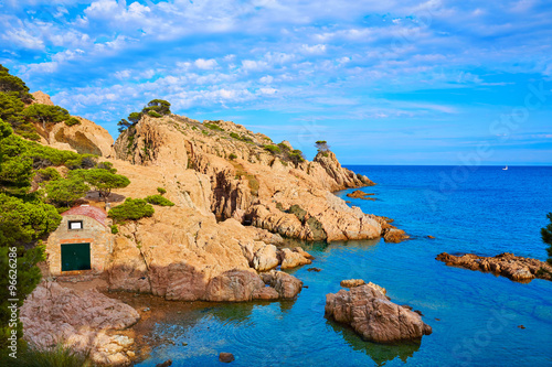 Aigua Xelida beach Cala in Tamariu Parafrugell photo