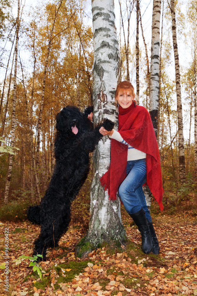 lack Russian Terrier and a woman standing near birch lack Russian Terrier and a woman standing near birch