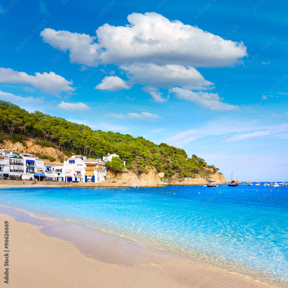 Badia de Tamariu beach in Costa Brava Parafrugell Badia de Tamariu beach in Costa Brava Parafrugell