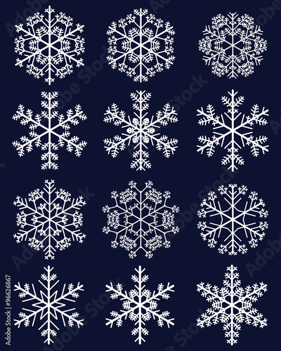 Set of different white snowflakes on a blue background, vector illustration