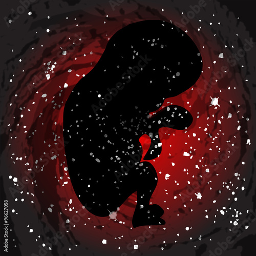 Unborn Baby SIlhouette