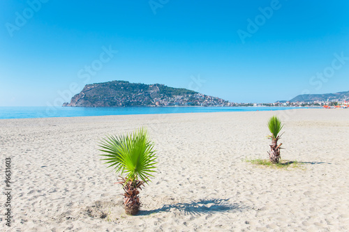 Palm tree on the beach and the beautifull view to ancient fortre photo