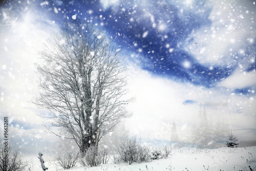 Winter tree in the snowfall © erika8213