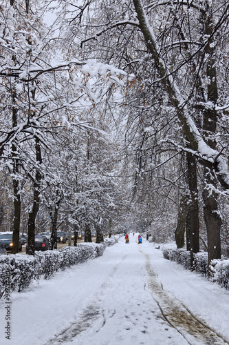 snowy city street with people in the daytime, vertical