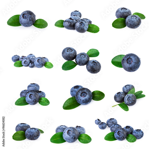 Blueberries Collection