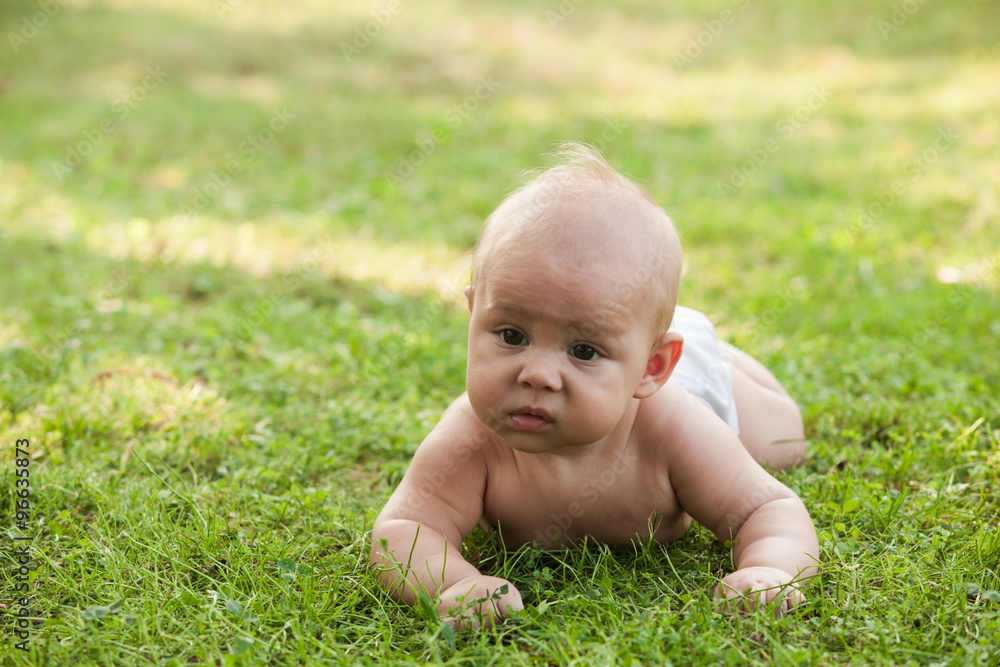Little boy crawling on lawn Little boy crawling on lawn