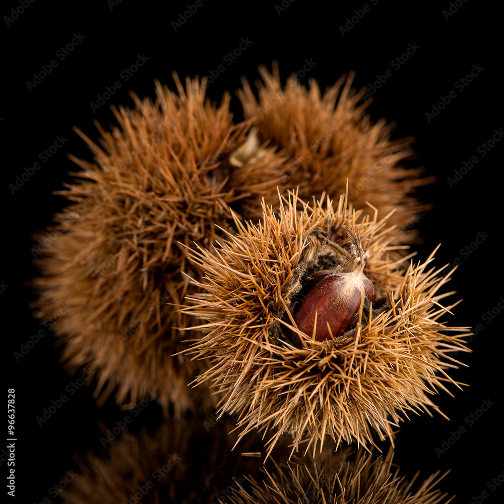 Chestnuts on a black reflective background