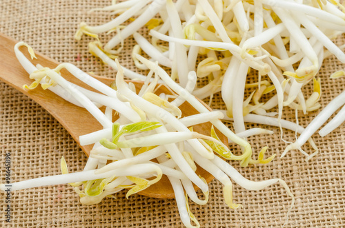 Tableau sur toile Mung beans or bean sprouts