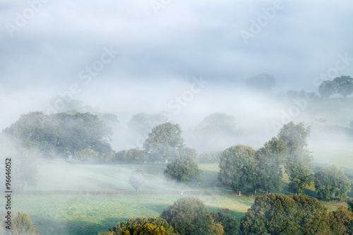 Trees Flooded in Fog, British Autumnal Landscape © Eddie Cloud