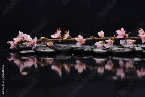 Still life with pink branch tropical flower with therapy stones