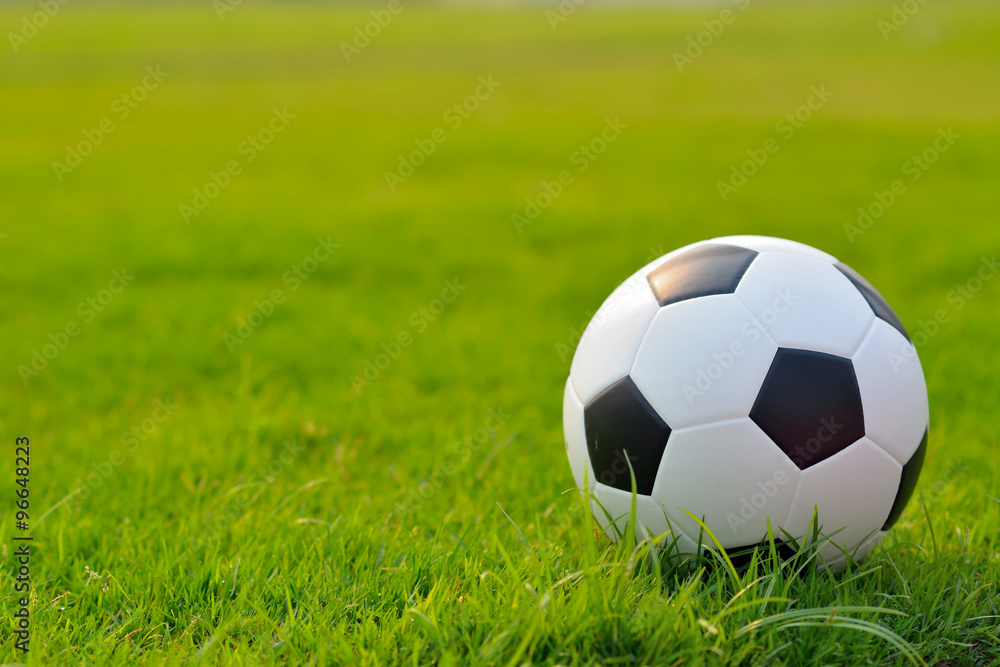 soccer field soccer field