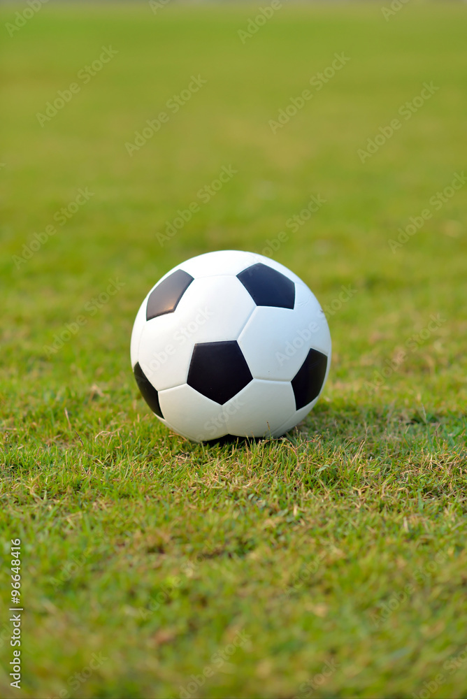 Fototapeta premium soccer field
