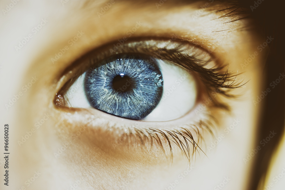 Naklejka premium insightful look a beautiful blue eyes boy