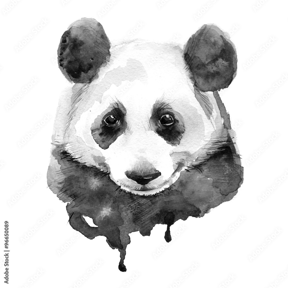 Fototapeta premium Panda.Black and white. Isolated