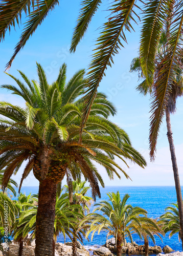 Wallpaper Mural Costa Brava beach Lloret de Mar Catalonia Spain Torontodigital.ca