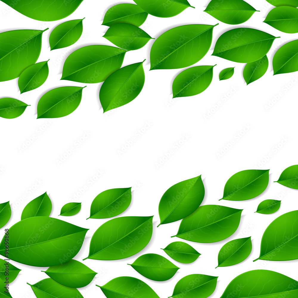 realistic green leaves isolated texture on white background