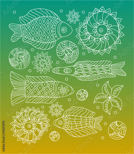 Fishes and shells elements set