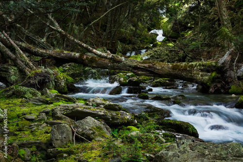 Fototapeta Naklejka Na Ścianę i Meble -  beautiful waterfall in beech forest