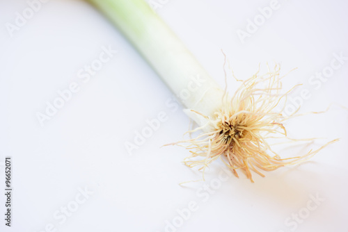 Leek roots