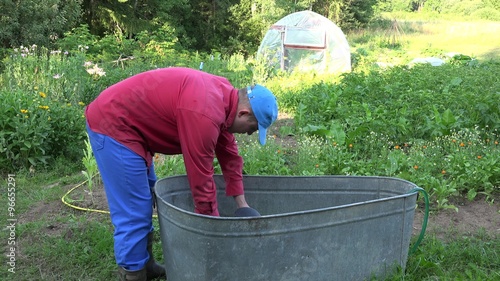 Farmer man draw water from water reservoir barrel in garden and watering plants with can in drought summer time. Static shot. 4K
