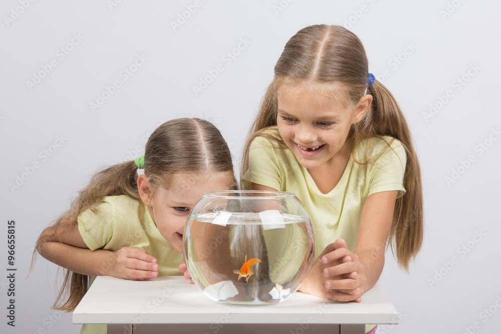The girls are laughing and having fun watching the behavior of goldfish The girls are laughing and having fun watching the behavior of goldfish