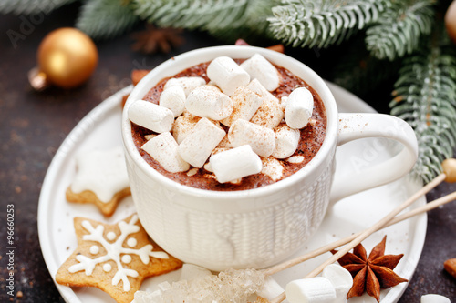 Cup of cocoa with marshmallows