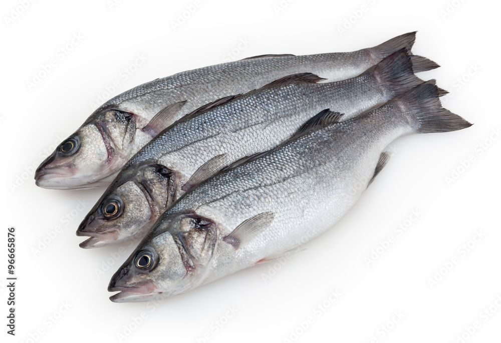 Seabass isolated on white background with clipping path Seabass isolated on white background with clipping path